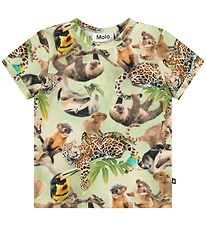 Molo T-shirt - Easy - Jungle Cubs Molo T-shirt - Easy - Jungle Cubs