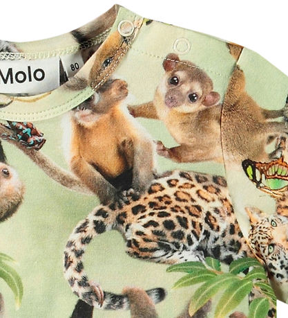 Molo T-shirt - Easy - Jungle Cubs