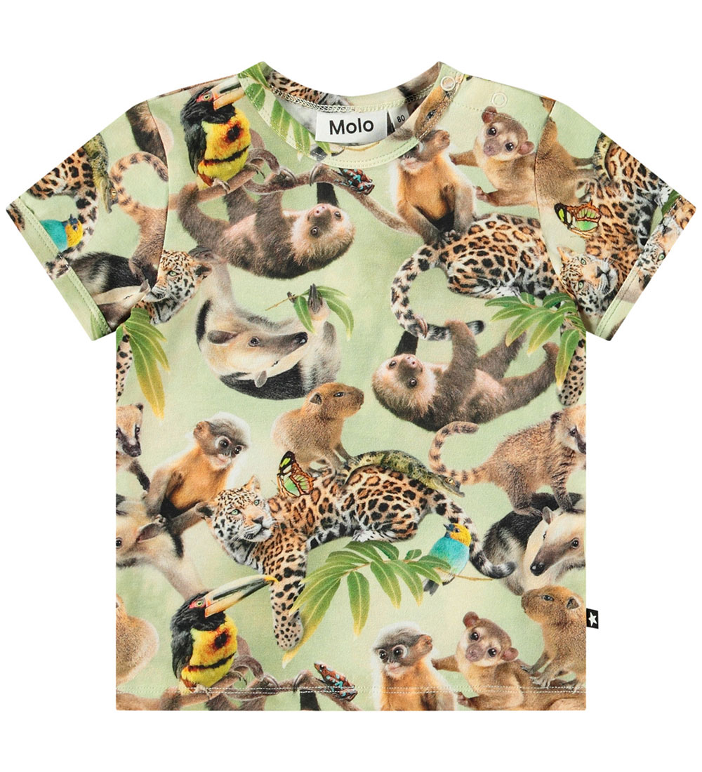 Molo T-Shirt - Easy - Jungle Cubs - Molo - 1 Jahr (80) - T-Shirts