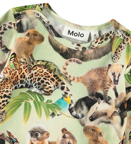 Molo Body l/æ - Foss - Jungle Cubs