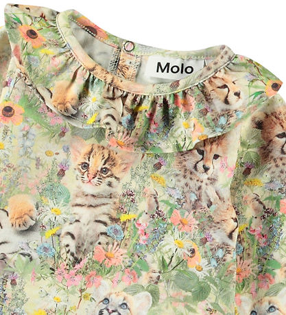 Molo Body l/æ - Freya - Meadow Cubs