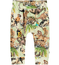 Molo Bukser - Sammy - Jungle Cubs Molo Bukser - Sammy - Jungle Cubs