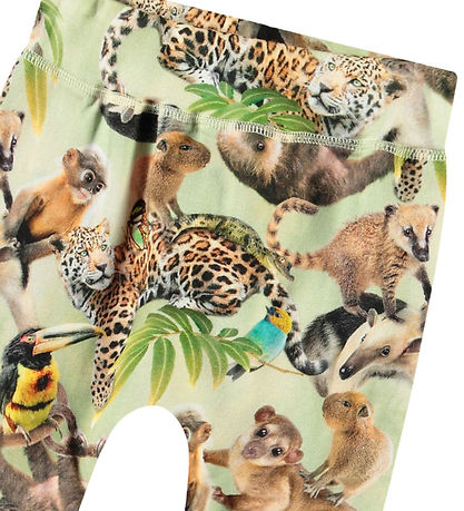 Molo Bukser - Sammy - Jungle Cubs