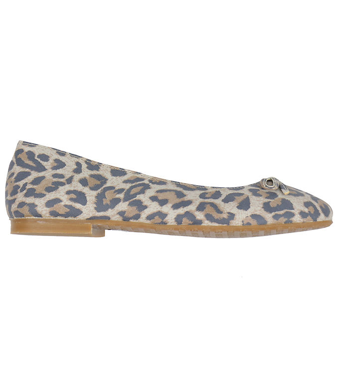 Angulus Ballerina – Leopard