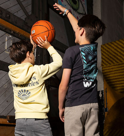 Indian Blue Jeans T-shirt - Antra Ash m. Print