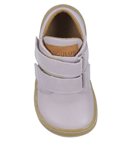 Angulus Begyndersko  - Lilac/Tan