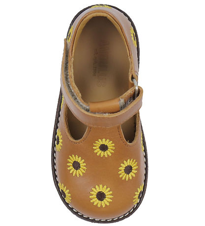 Angulus Tullesko - Cognac m. Solsikke