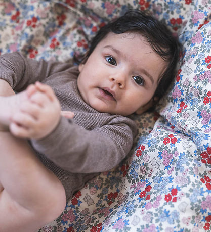 That's Mine Bedding - Baby - Levi - Bittersweet