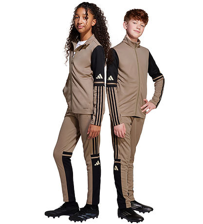 adidas Performance Bukser - Tr PNT T - Blacar/Sort/Warvan