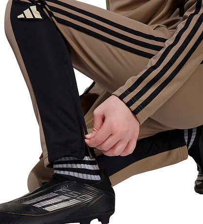 adidas Performance Bukser - Tr PNT T - Blacar/Sort/Warvan