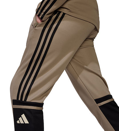 adidas Performance Bukser - Tr PNT T - Blacar/Sort/Warvan