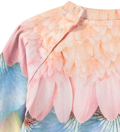 Molo Sweatshirt - Disc - Petal Rainbow m. Blomsterprint Molo Sweatshirt - Disc - Petal Rainbow m. Blomsterprint