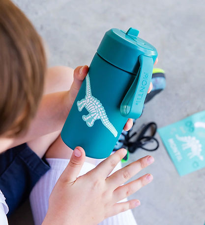 MontiiCo Klistermærker - 3 ark - Dinosaur Land