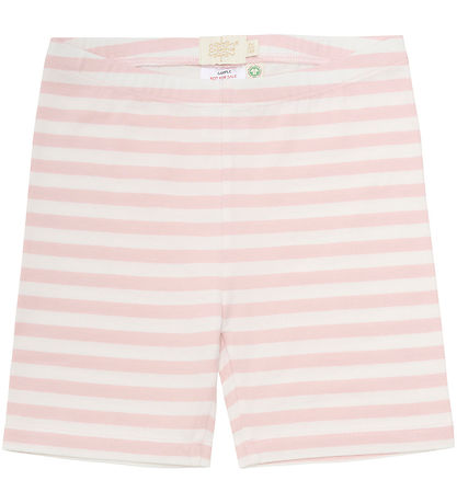 Creamie Shorts - 2-pak - Lotus