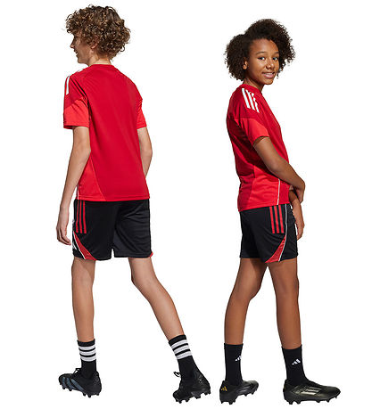 adidas Performance Shorts - Tiro25C TR - Black/Tepore