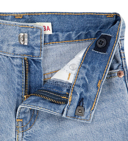 Levis Shorts - Skate - From Scratch No Destruction