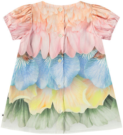 Molo Kjole - Caja - Petal Rainbow