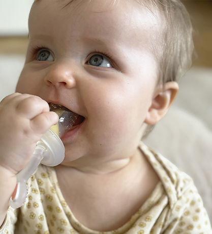 Tiny Tot Food Feeder m. Mini Fryseform - Rose Tiny Tot Food Feeder m. Mini Fryseform - Rose