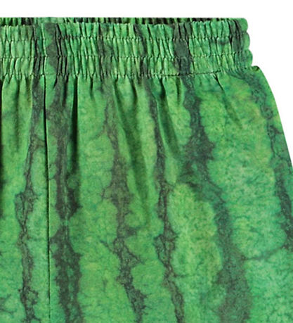 Molo Shorts - Suno - Melancia
