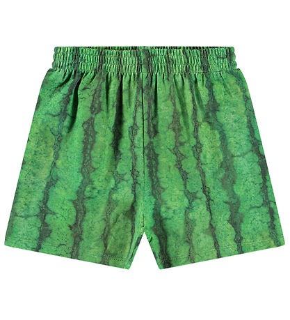 Molo Shorts - Suno - Melancia