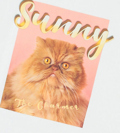 Molo T-shirt - Riley - Sunny