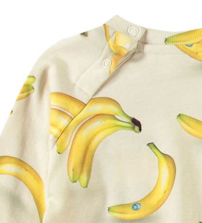 Molo Sweatshirt - Disc - Babynanas