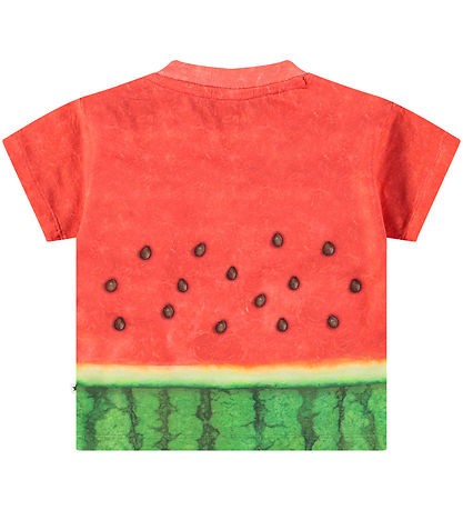Molo T-shirt - Enzo - Be a Melon Molo T-shirt - Enzo - Be a Melon