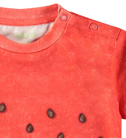 Molo T-shirt - Enzo - Be a Melon Molo T-shirt - Enzo - Be a Melon