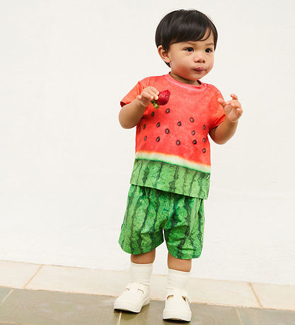 Molo T-shirt - Enzo - Be a Melon Molo T-shirt - Enzo - Be a Melon