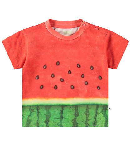 Molo T-shirt - Enzo - Be a Melon Molo T-shirt - Enzo - Be a Melon