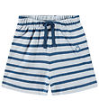 Molo Shorts - Skie - Lagoa Stripe Molo Shorts - Skie - Lagoa Stripe
