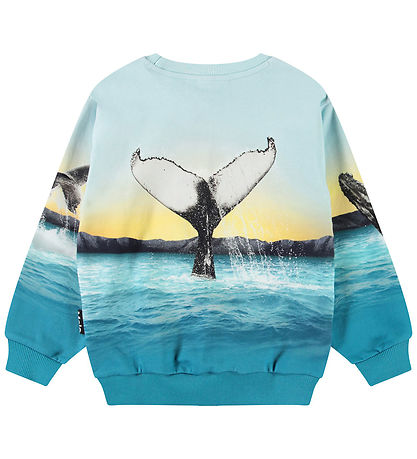 Molo Sweatshirt - Miksi - Whale Jump