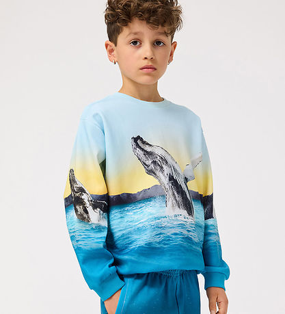 Molo Sweatshirt - Miksi - Whale Jump