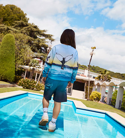 Molo Sweatshirt - Miksi - Whale Jump
