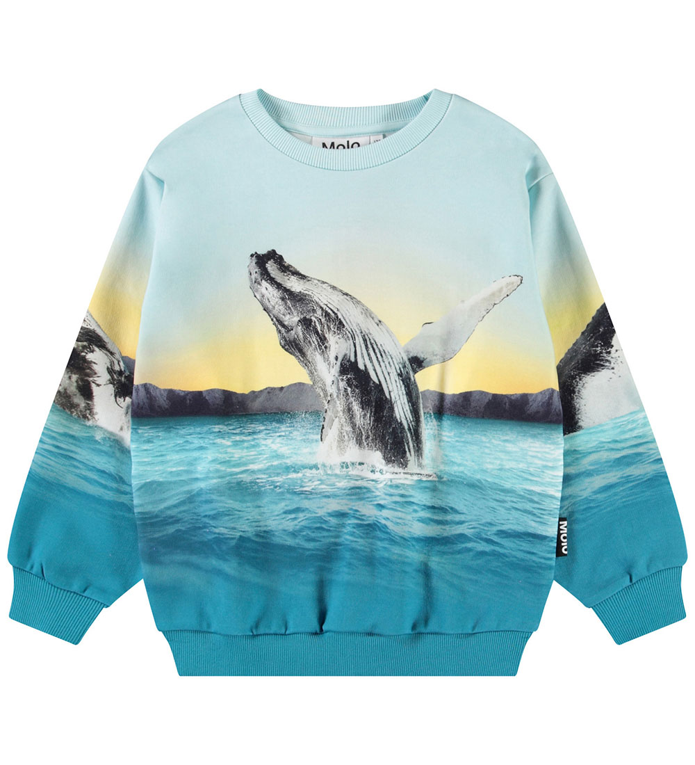 Sweat-shirt Molo - Mélanger - Whale Sauter - Molo - 12 ans (152) - Sweat-shirt
