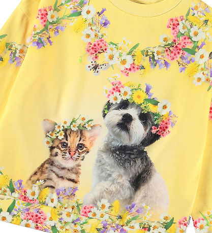 Molo Sweatshirt - Maxi - Sweet Maggie