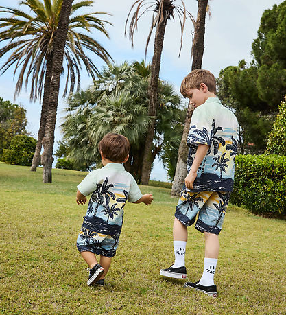 Molo Shorts - Solar - Palm Babynanas