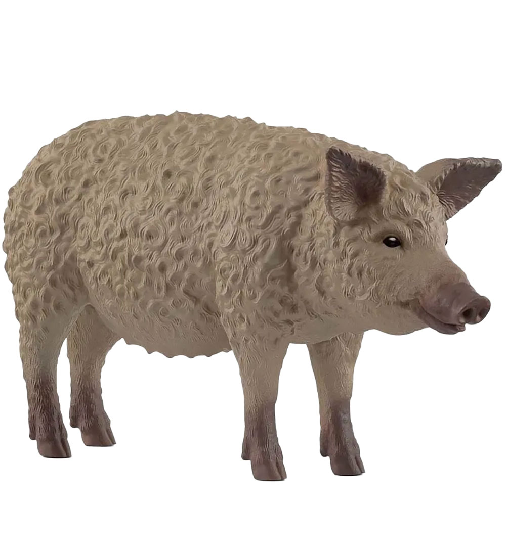 Schleich Wild Life - Mangalitza-Schwein - 9,7 cm - 14892 - Schleich - One Size - Spielzeugtiere