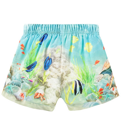 Molo Badeshorts - UV50+ - Newton - Happy Ocean Molo Badeshorts - UV50+ - Newton - Happy Ocean