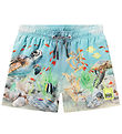 Molo Badeshorts - UV50+ - Niko - Happy Ocean Molo Badeshorts - UV50+ - Niko - Happy Ocean
