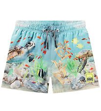 Molo Badeshorts - UV50+ - Niko - Happy Ocean Molo Badeshorts - UV50+ - Niko - Happy Ocean