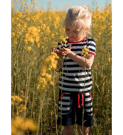 Katvig Shorts - Navy Katvig Shorts - Navy