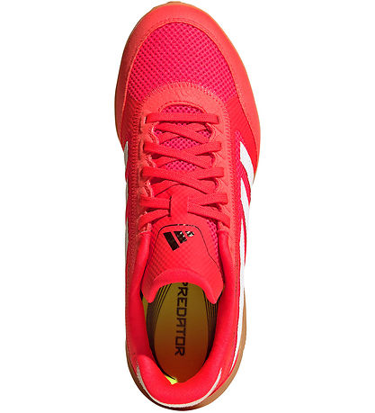 adidas Performance Indendørssko - Predator League - Indoor - L
