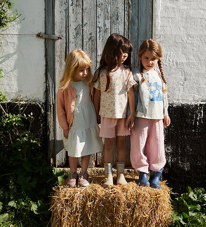 Wheat Shorts - Ina - Rose Sprinkle Wheat Shorts - Ina - Rose Sprinkle