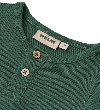 Wheat Body l/æ - Rib - Benny - Green Tea