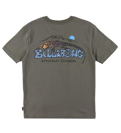 Billabong T-shirt - Lizard Mountain - Grå