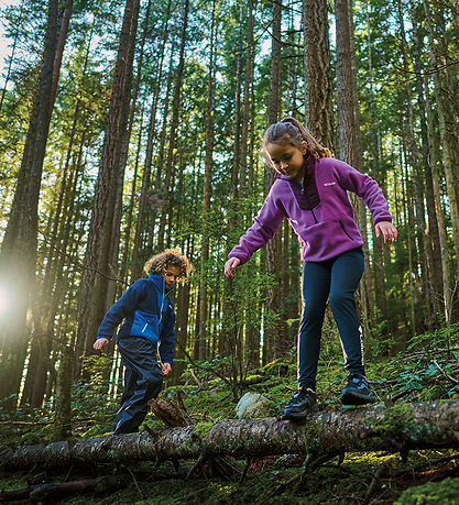 Columbia Fleecejakke - Sequoia Grove - Collegiate Navy