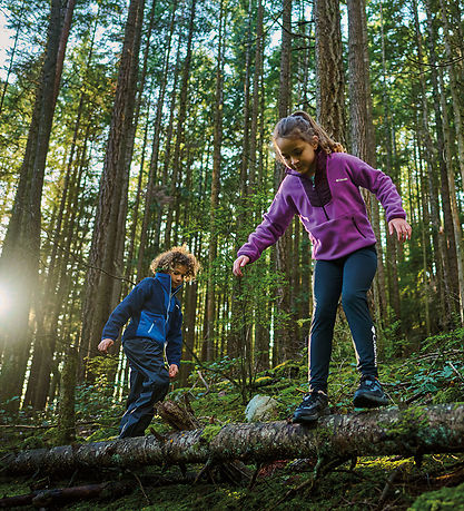 Columbia Skalbukser - Trail Adventure II - Sort