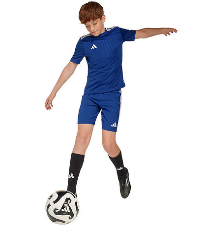 adidas Performance T-shirt - Campeon25 - Royal Blue/Hvid