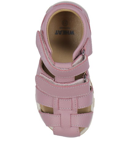 Wheat Sandaler - Frei - Rose Frost